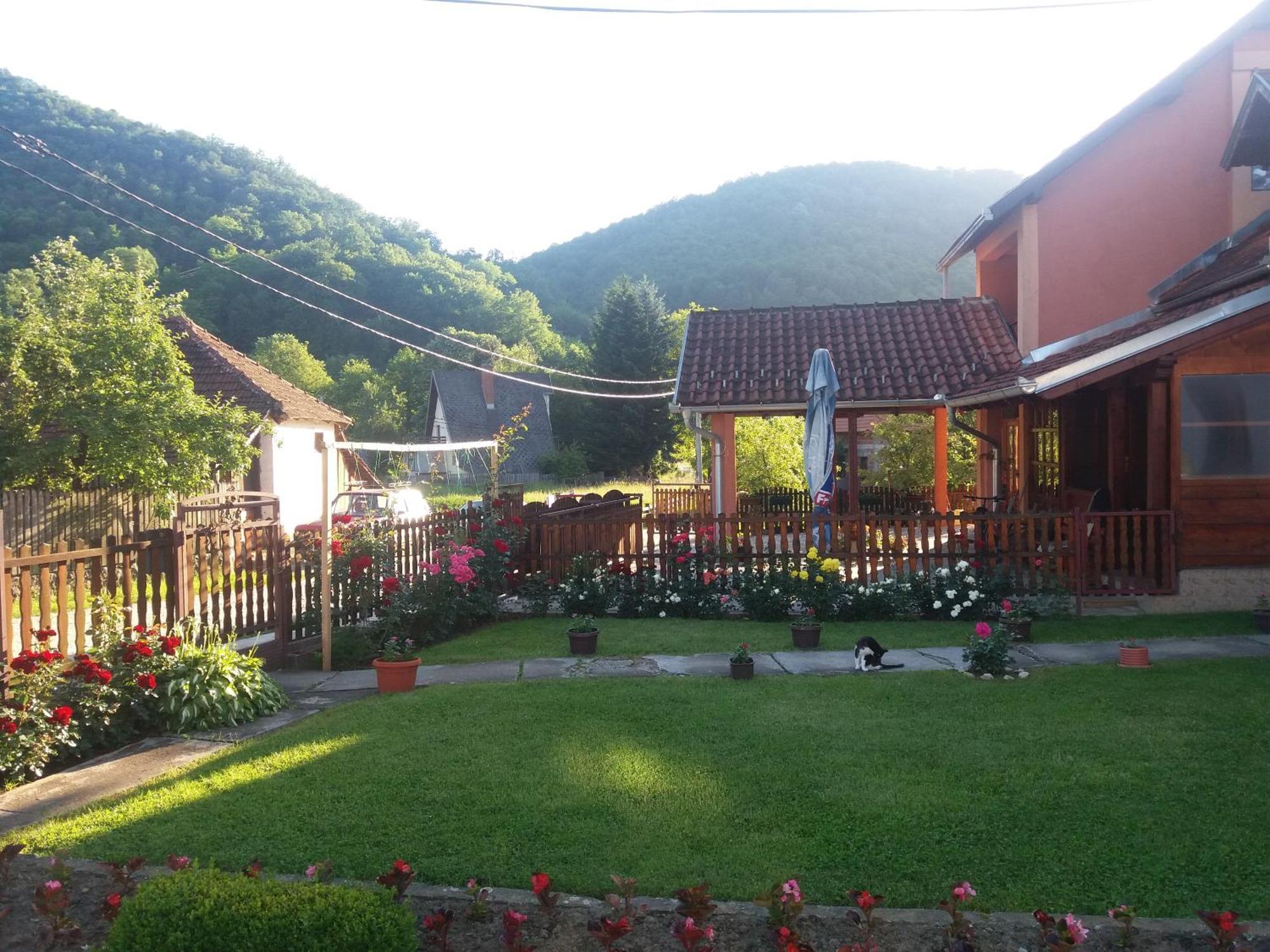 Guesthouse Tadic Guča Екстериор снимка